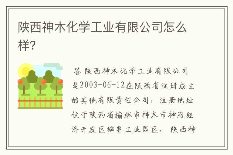 陕西神木化学工业有限公司怎么样?