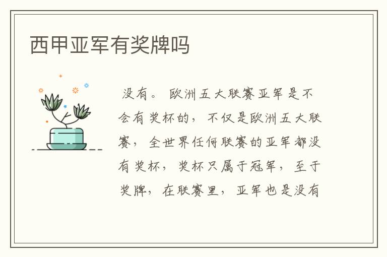 西甲亚军有奖牌吗