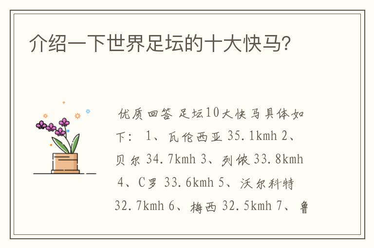 介绍一下世界足坛的十大快马?