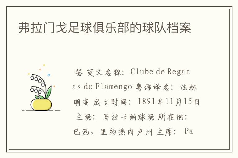 弗拉门戈足球俱乐部的球队档案