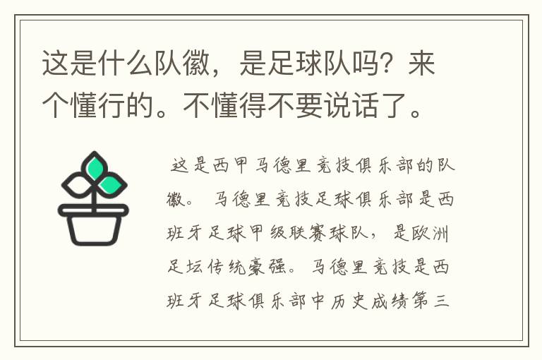 这是什么队徽,是足球队吗?来个懂行的。不懂得不要说话了。