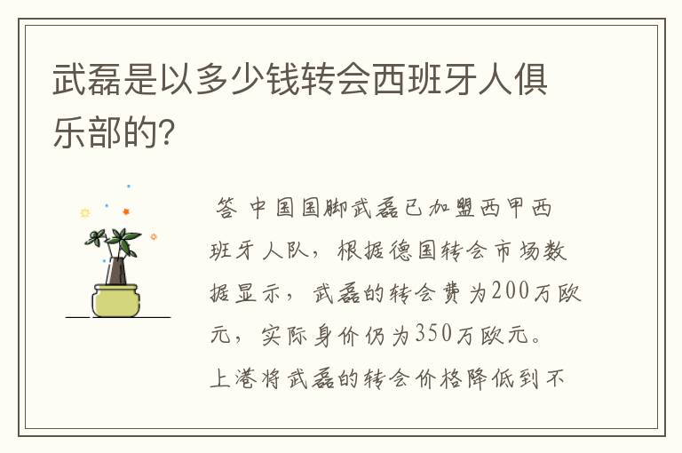 武磊是以多少钱转会西班牙人俱乐部的？