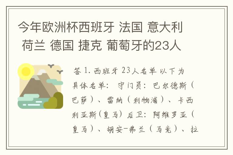今年欧洲杯西班牙 法国 意大利 荷兰 德国 捷克 葡萄牙的23人名单