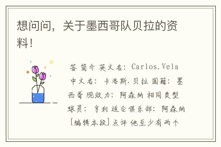 想问问,关于墨西哥队贝拉的资料!