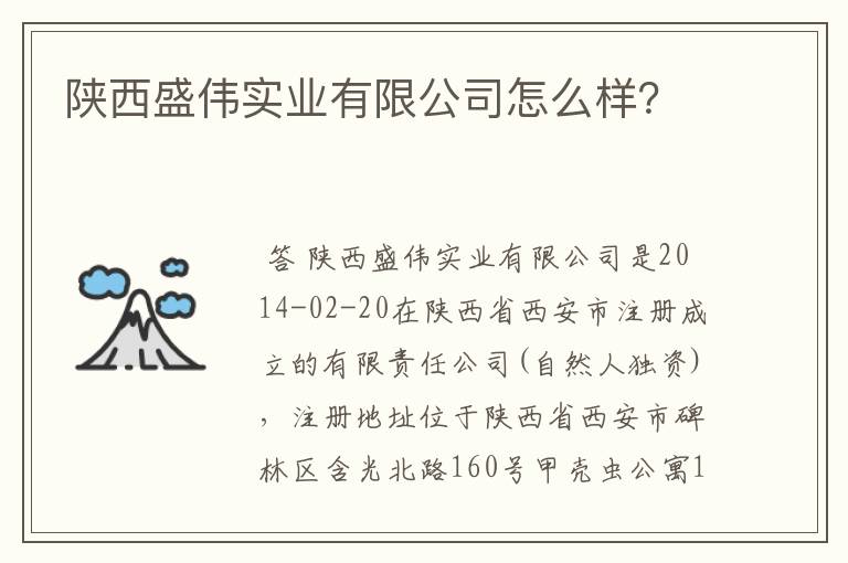 陕西盛伟实业有限公司怎么样?