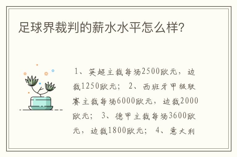 足球界裁判的薪水水平怎么样?