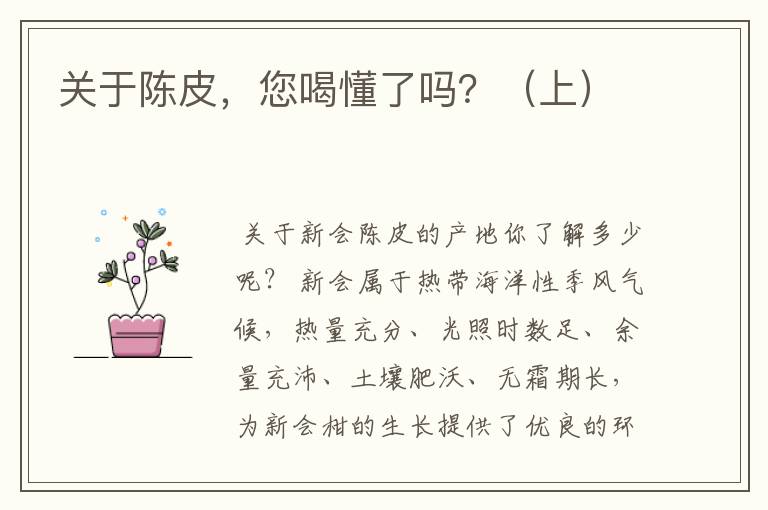 关于陈皮,您喝懂了吗?(上)