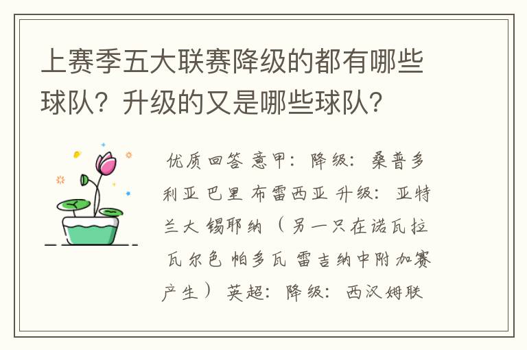 上赛季五大联赛降级的都有哪些球队?升级的又是哪些球队?