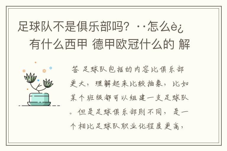 足球队不是俱乐部吗?··怎么还有什么西甲 德甲欧冠什么的 解释一下?