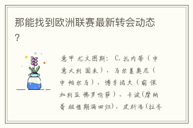 那能找到欧洲联赛最新转会动态?