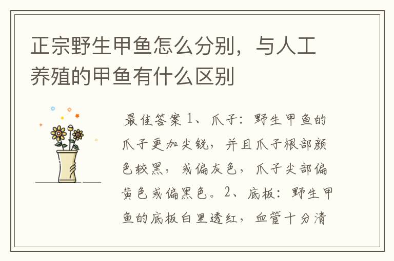 正宗野生甲鱼怎么分别,与人工养殖的甲鱼有什么区别