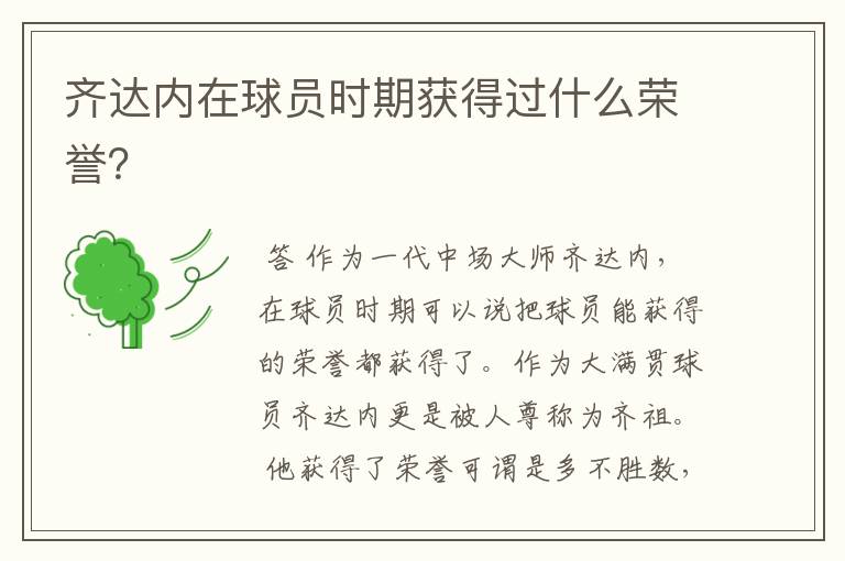 齐达内在球员时期获得过什么荣誉?