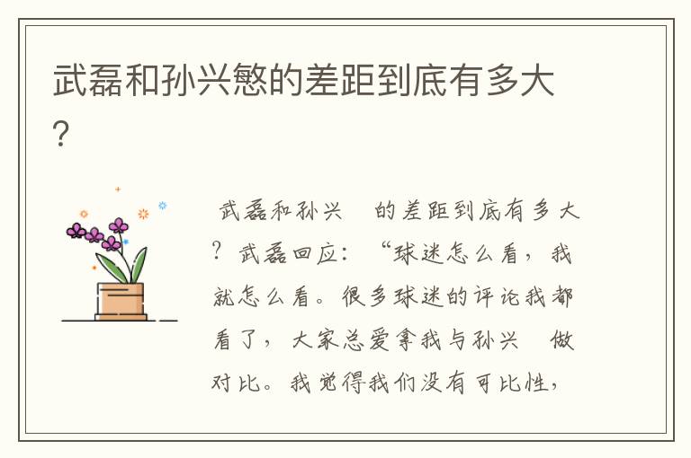 武磊和孙兴慜的差距到底有多大?