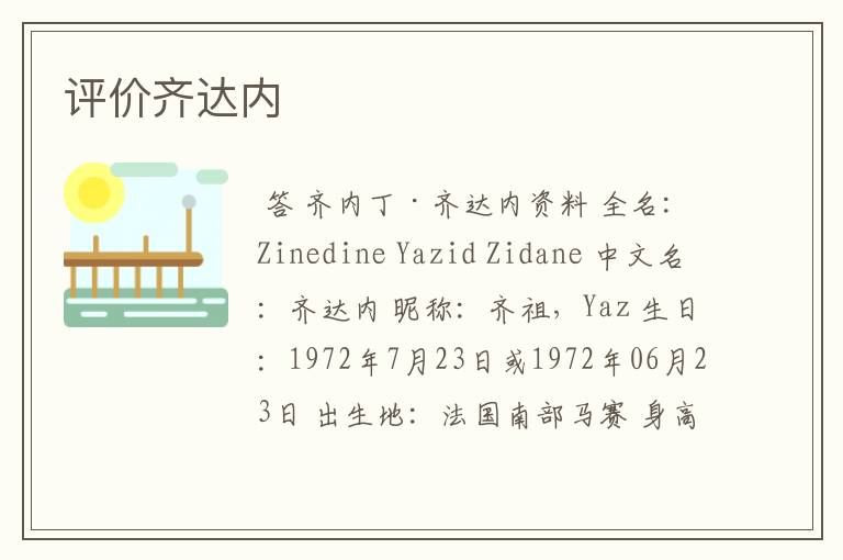 评价齐达内