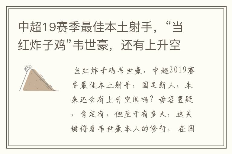 中超19赛季最佳本土射手,“当红炸子鸡”韦世豪,还有上升空间吗?