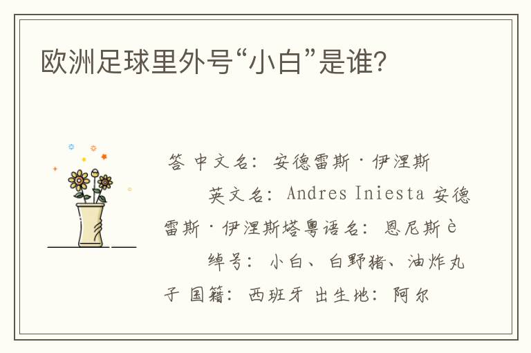 欧洲足球里外号“小白”是谁?