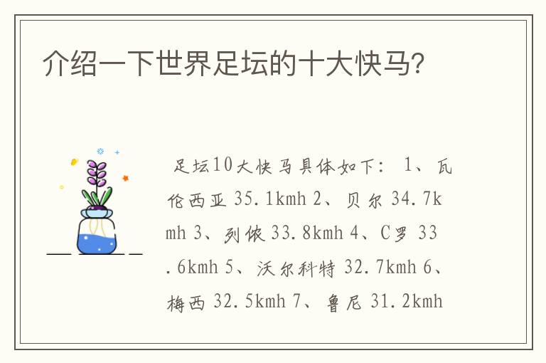 介绍一下世界足坛的十大快马?