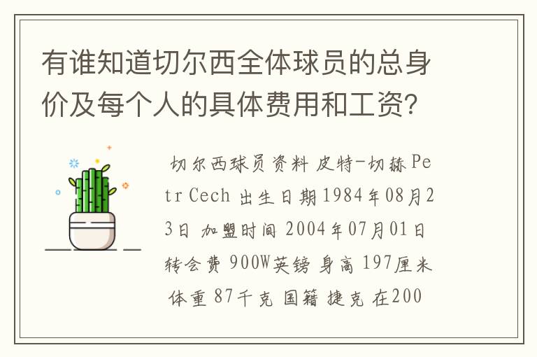 有谁知道切尔西全体球员的总身价及每个人的具体费用和工资?