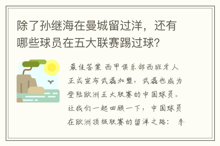 除了孙继海在曼城留过洋,还有哪些球员在五大联赛踢过球?