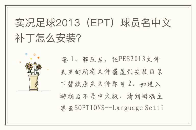 实况足球2013（EPT）球员名中文补丁怎么安装？