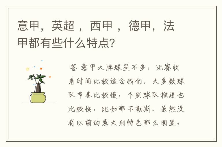 意甲,英超 ,西甲 ,德甲,法甲都有些什么特点?