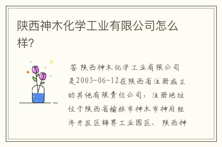 陕西神木化学工业有限公司怎么样?