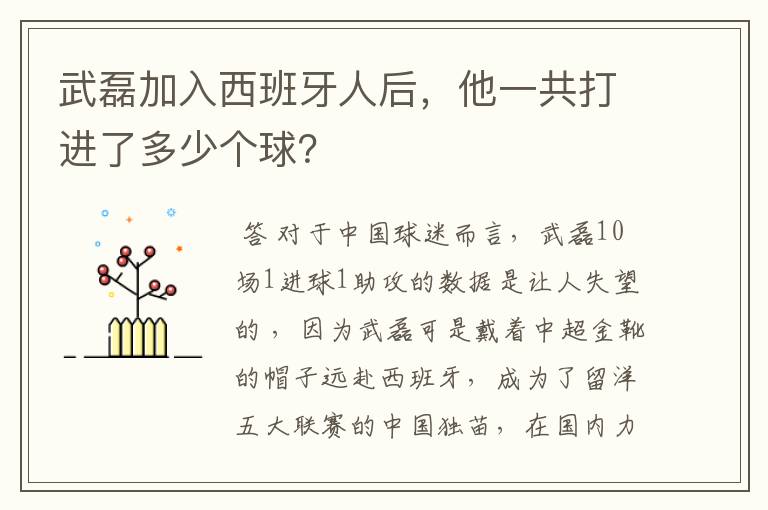武磊加入西班牙人后,他一共打进了多少个球?