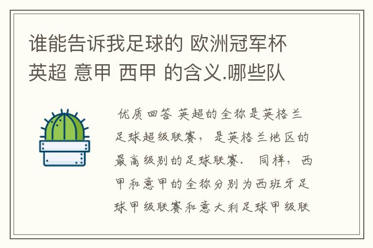 谁能告诉我足球的 欧洲冠军杯 英超 意甲 西甲 的含义.哪些队 怎么进行比赛的.