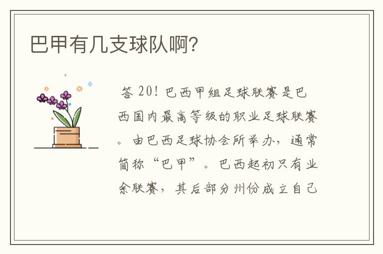 巴甲有几支球队啊?