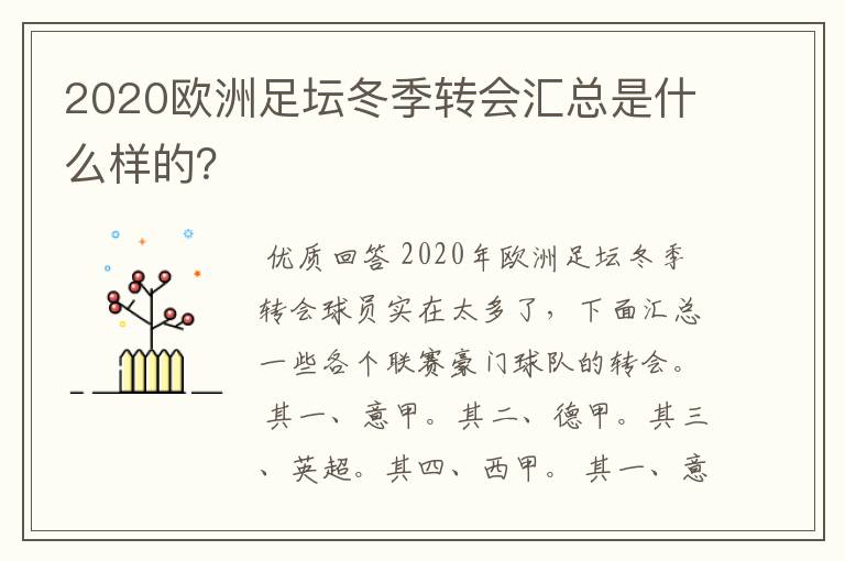 2020欧洲足坛冬季转会汇总是什么样的?