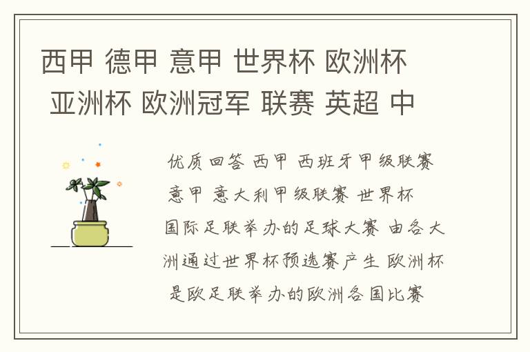 西甲 德甲 意甲 世界杯 欧洲杯 亚洲杯 欧洲冠军 联赛 英超 中超 分别是什么意思啊?