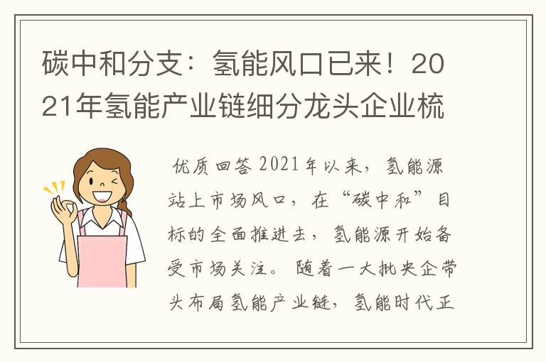 碳中和分支:氢能风口已来!2021年氢能产业链细分龙头企业梳理