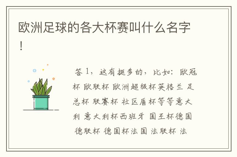 欧洲足球的各大杯赛叫什么名字!