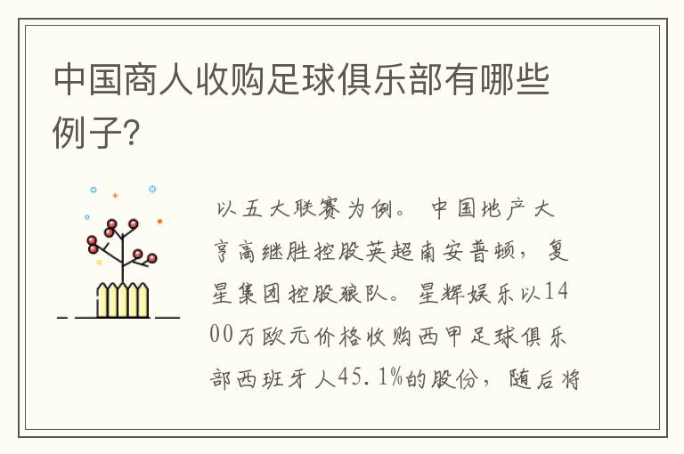 中国商人收购足球俱乐部有哪些例子?