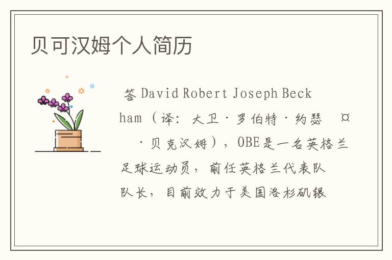 贝可汉姆个人简历