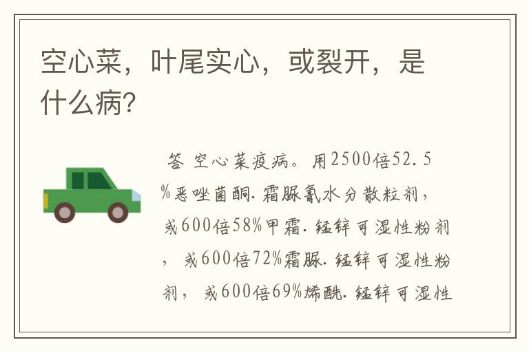 空心菜,叶尾实心,或裂开,是什么病?