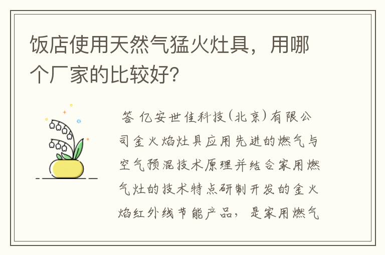 饭店使用天然气猛火灶具，用哪个厂家的比较好？
