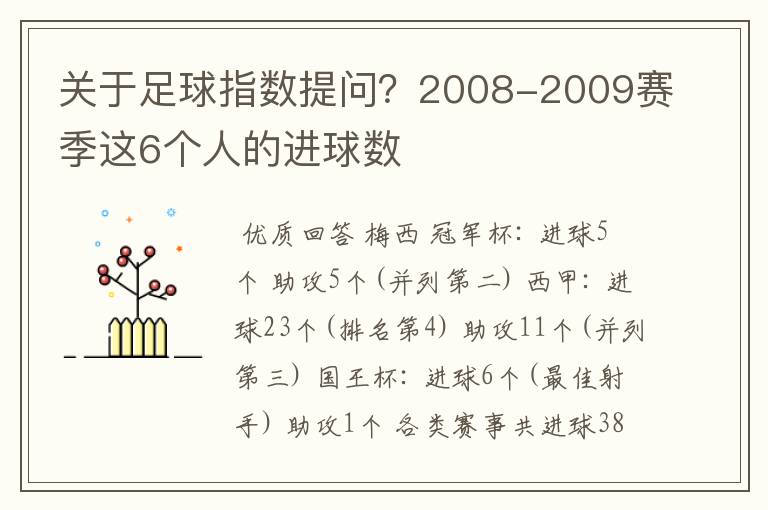 关于足球指数提问?2008-2009赛季这6个人的进球数