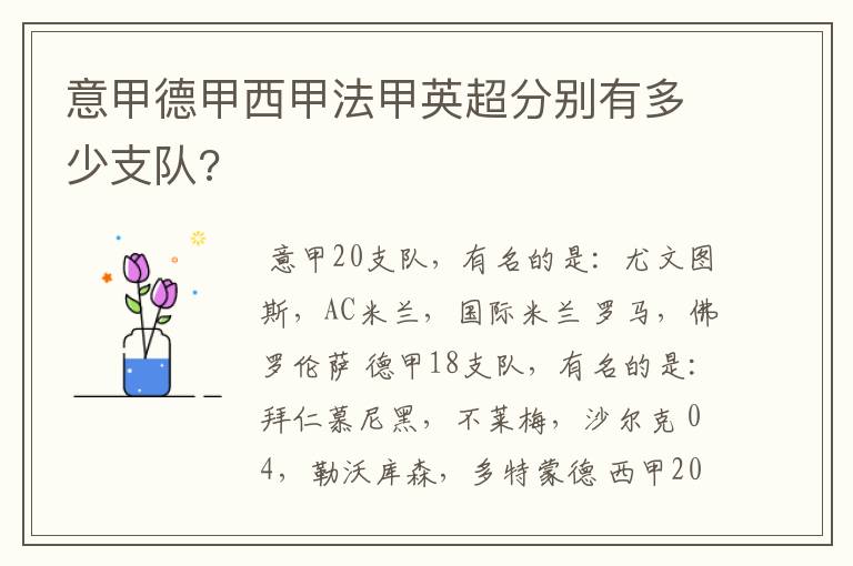 意甲德甲西甲法甲英超分别有多少支队?