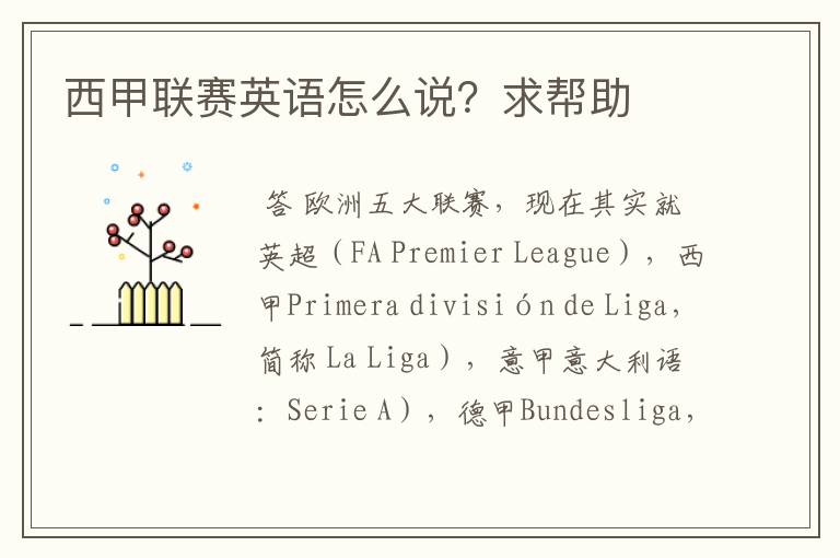 西甲联赛英语怎么说?求帮助