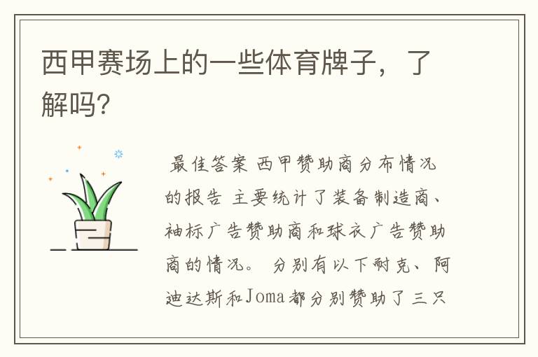 西甲赛场上的一些体育牌子,了解吗?