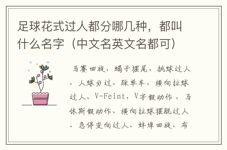 足球花式过人都分哪几种,都叫什么名字(中文名英文名都可)