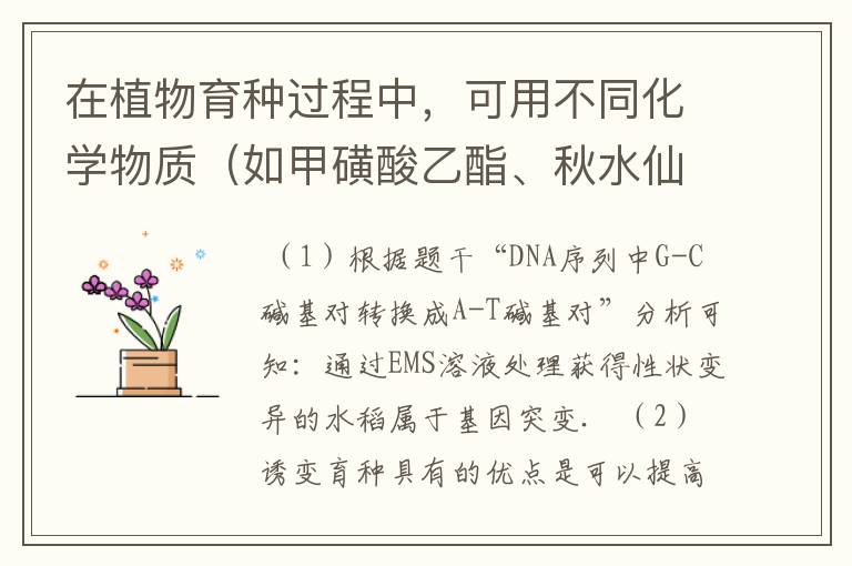 在植物育种过程中,可用不同化学物质(如甲磺酸乙酯、秋水仙素)处理获得新品种.甲磺酸乙酯(EMS)能使