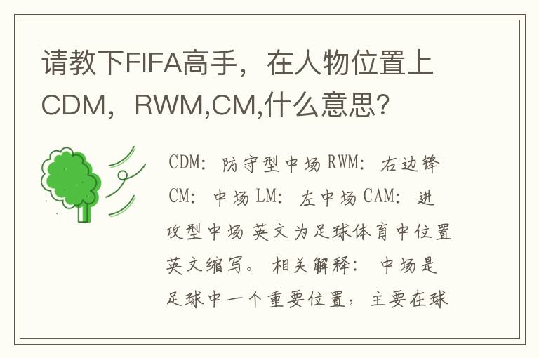 请教下FIFA高手,在人物位置上CDM,RWM,CM,什么意思?