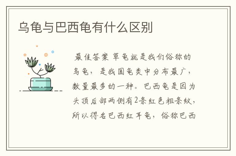 乌龟与巴西龟有什么区别