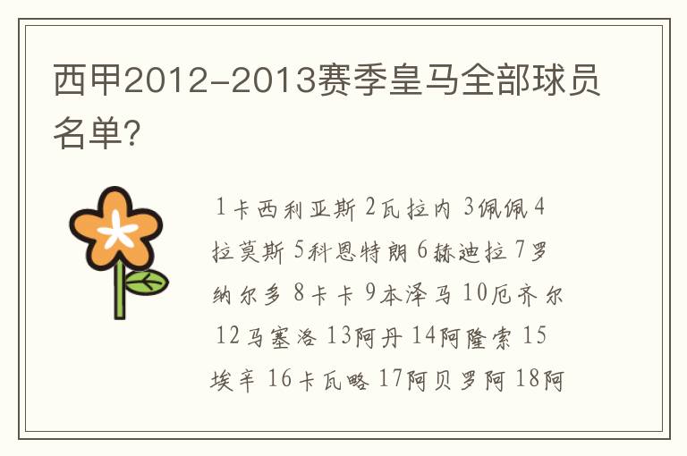 西甲2012-2013赛季皇马全部球员名单?