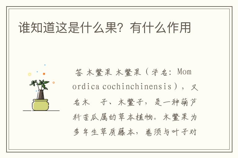 谁知道这是什么果?有什么作用