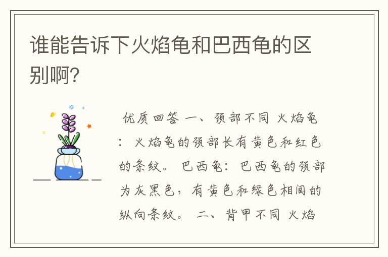 谁能告诉下火焰龟和巴西龟的区别啊?