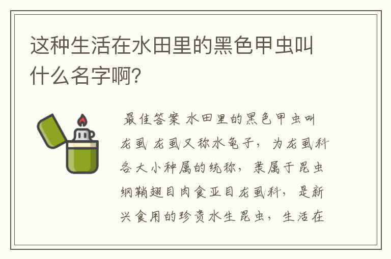 这种生活在水田里的黑色甲虫叫什么名字啊?