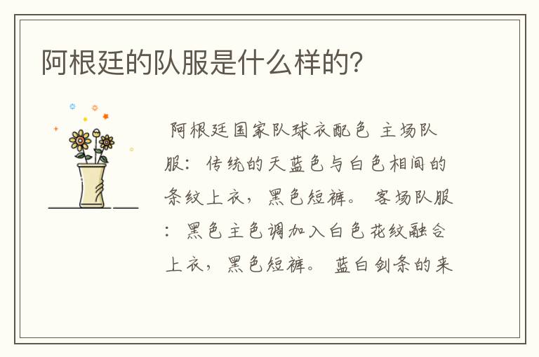 阿根廷的队服是什么样的?
